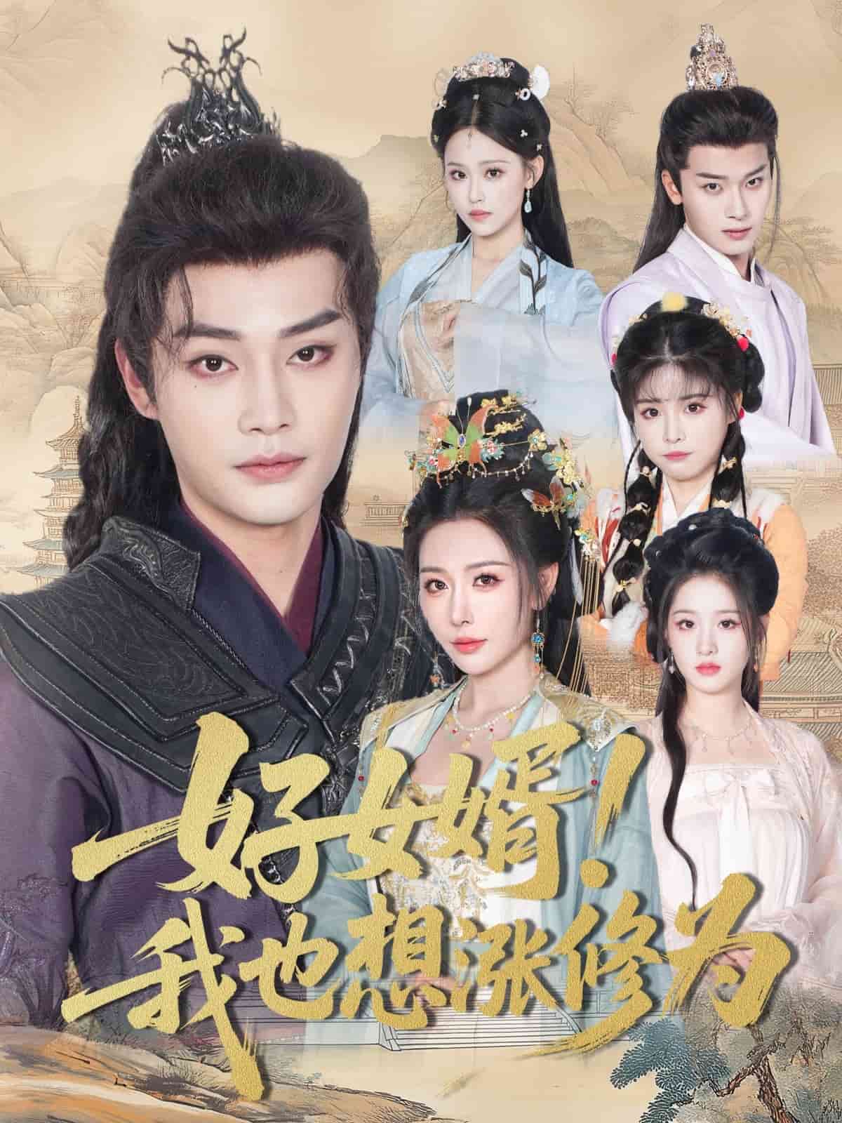 好女婿我也想涨修为